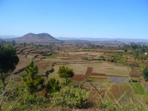 Des rizières à Antsirabe